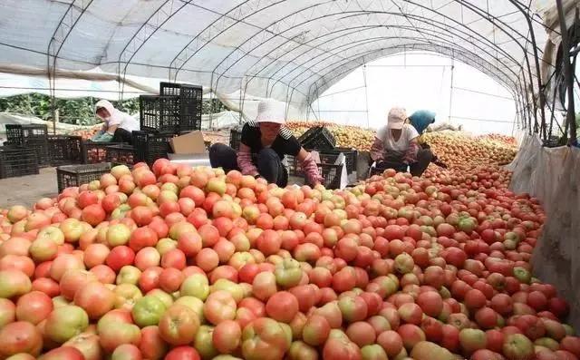 整頓大棚房成了一刀切的代名詞，斷水?dāng)嚯姶u瓦不留，拆成了荒蕪！