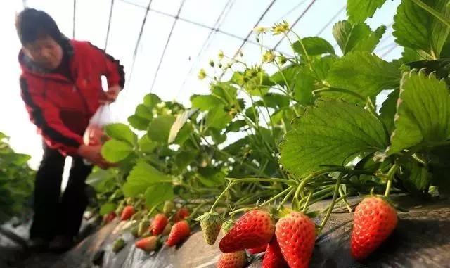 整頓大棚房成了一刀切的代名詞，斷水?dāng)嚯姶u瓦不留，拆成了荒蕪！