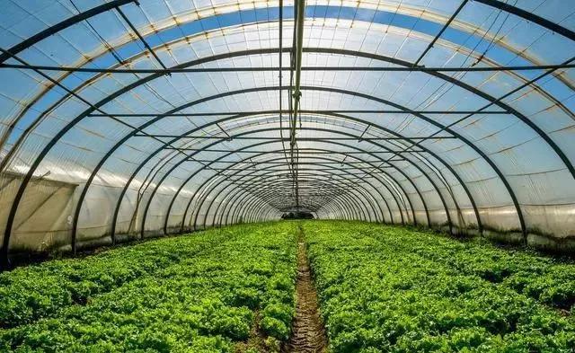 整頓大棚房成了一刀切的代名詞，斷水?dāng)嚯姶u瓦不留，拆成了荒蕪！