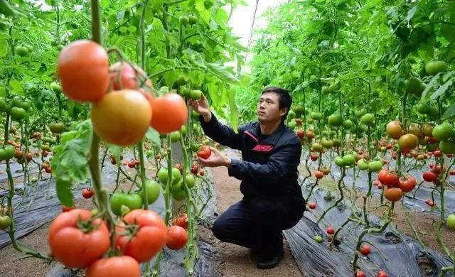 整頓大棚房成了一刀切的代名詞，斷水?dāng)嚯姶u瓦不留，拆成了荒蕪！