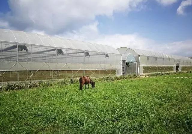 整頓大棚房成了一刀切的代名詞，斷水?dāng)嚯姶u瓦不留，拆成了荒蕪！